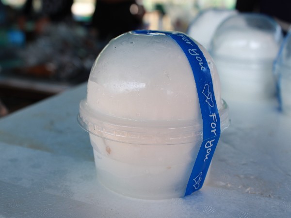 มะพร้าวถอดเสื้อ