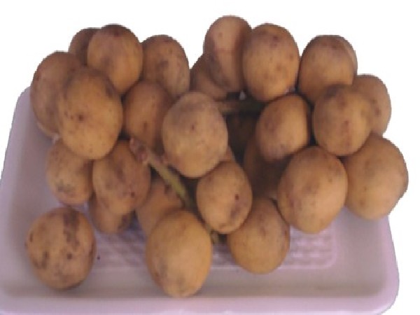 ลองกอง