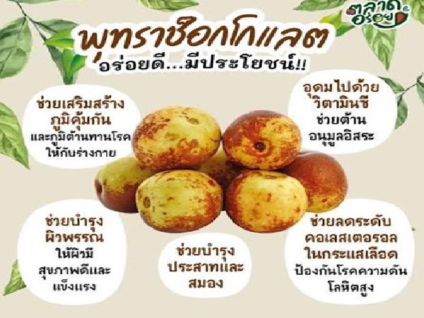  พุทราช็อคโกแลต (ถาด)