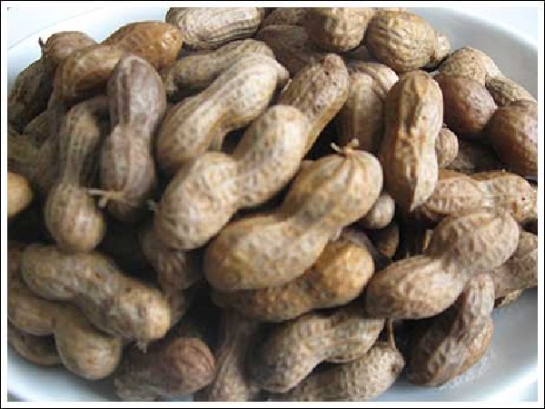 ถั่วต้ม